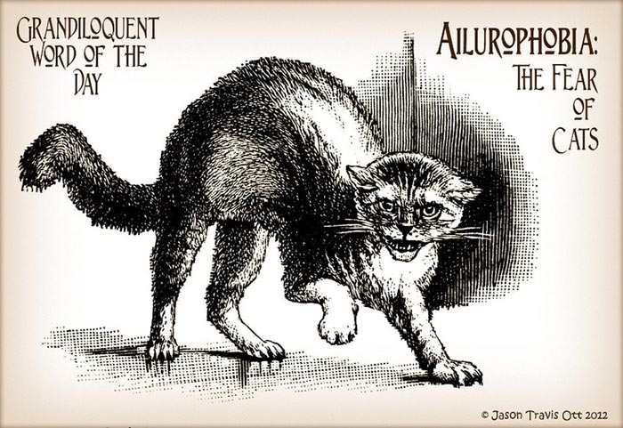 Айлурофобия